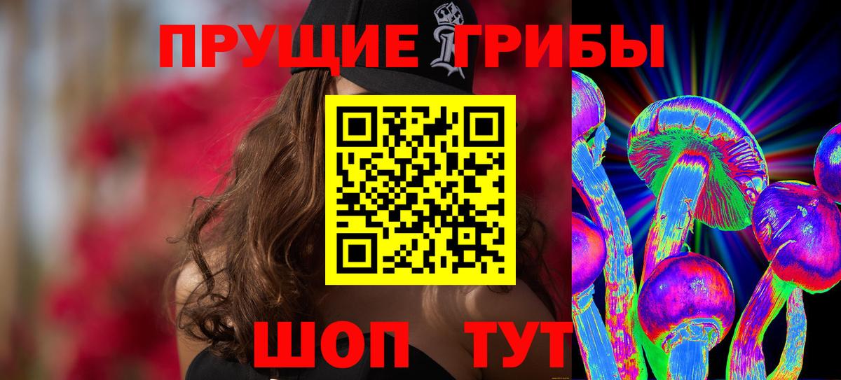 Мичуринск  Галлюциногенные грибы Psilocybine cubensis  Вход с VPN 
